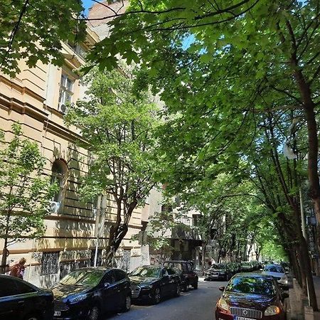 Apartment 51 - Bright, Spacious, Lux 1 Bedroom In The City Center - Stari Grad Belgrad Dış mekan fotoğraf