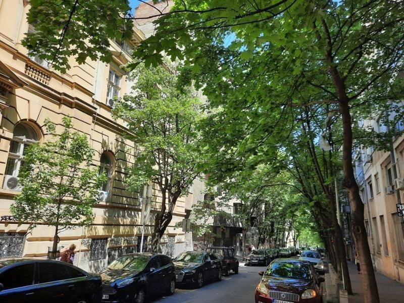 Apartment 51 - Bright, Spacious, Lux 1 Bedroom In The City Center - Stari Grad Belgrad Dış mekan fotoğraf